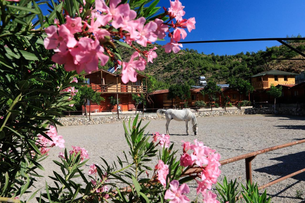 Oranj Ranch Hotel Kemer Buitenkant foto
