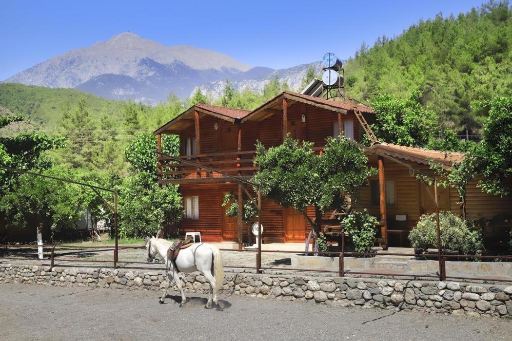 Oranj Ranch Hotel Kemer Buitenkant foto