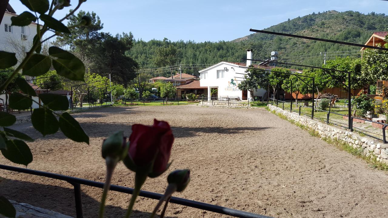 Oranj Ranch Hotel Kemer Buitenkant foto