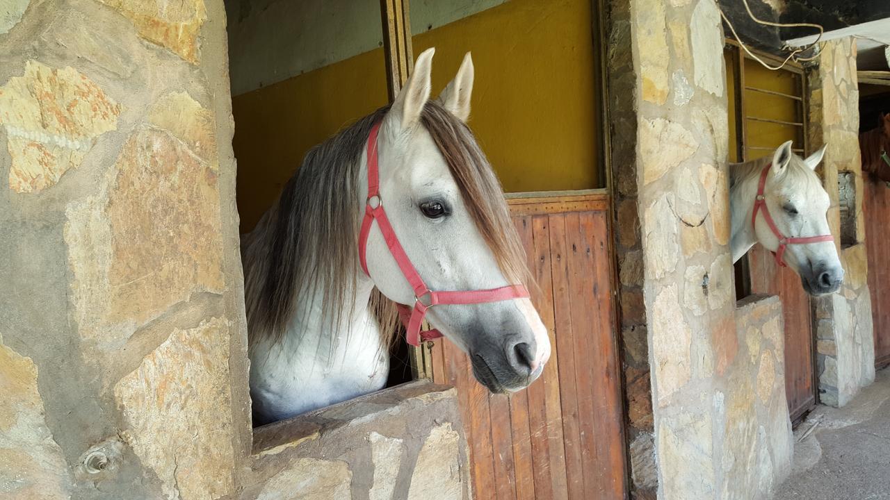 Oranj Ranch Hotel Kemer Buitenkant foto