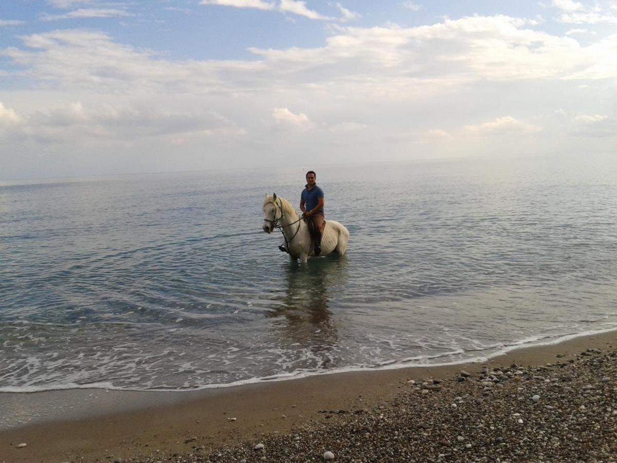 Oranj Ranch Hotel Kemer Buitenkant foto