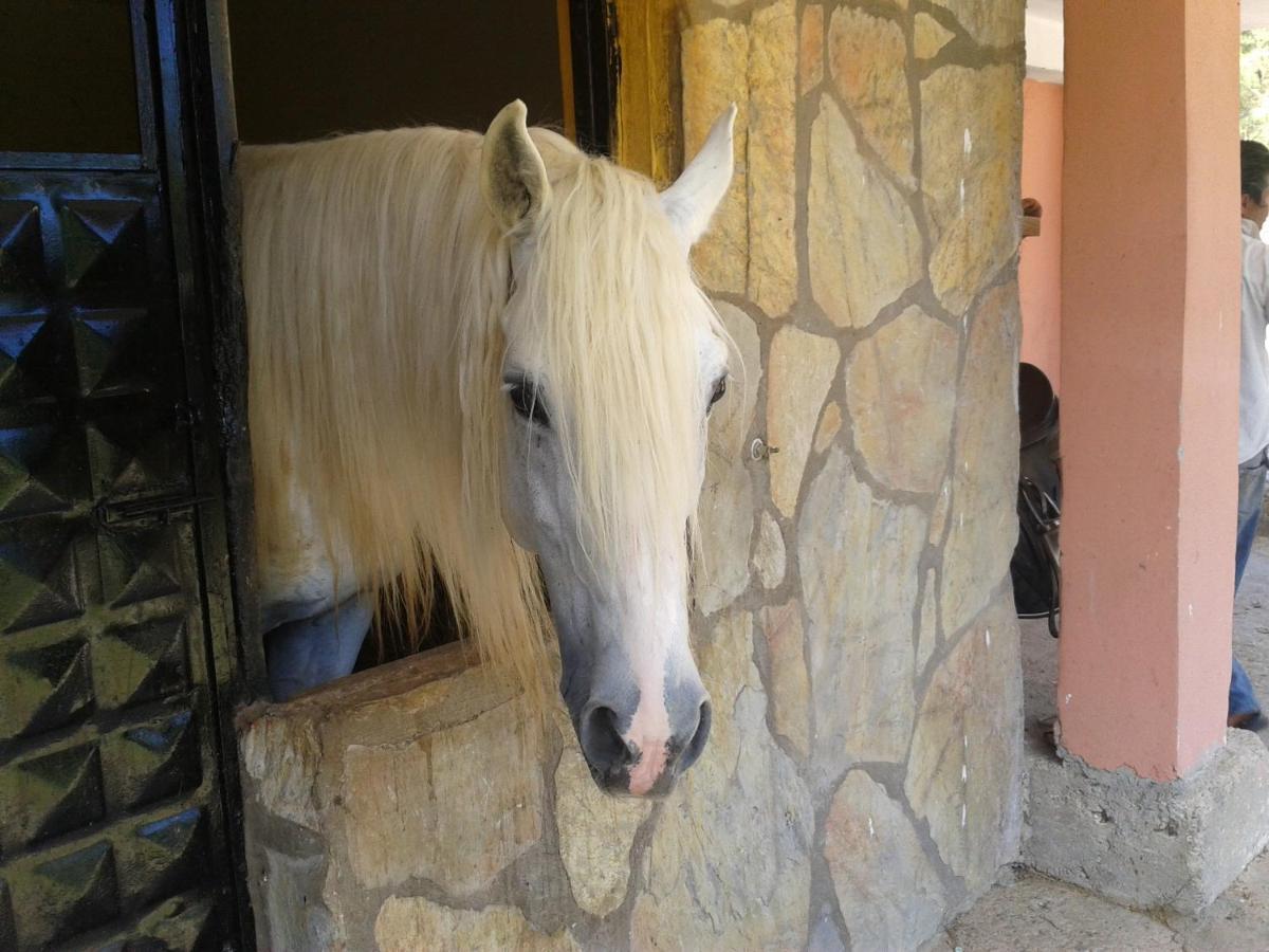 Oranj Ranch Hotel Kemer Buitenkant foto
